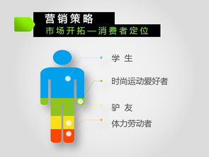 娃哈哈激活品牌2013-2016年度市场营销策划方案